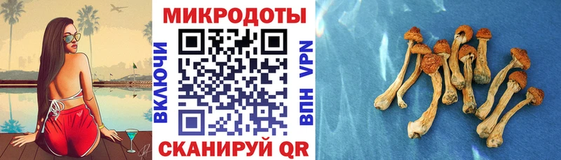 Псилоцибиновые грибы мухоморы  Облучье 