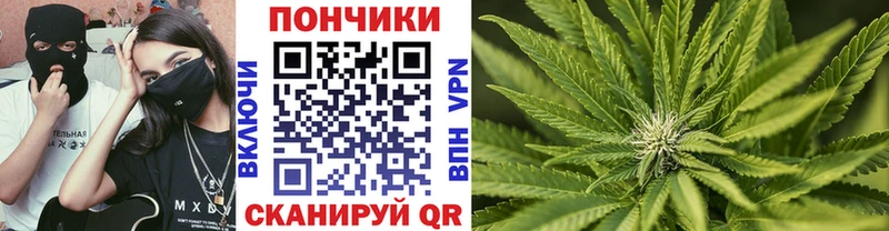 Бошки Шишки конопля  где купить наркоту  Облучье 